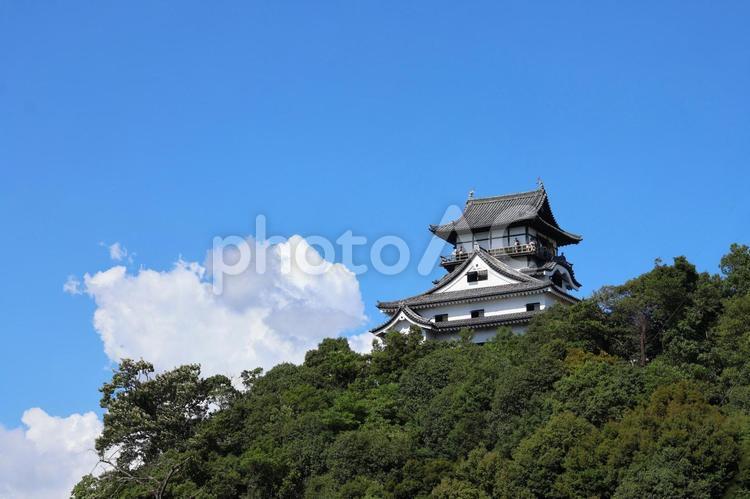 ７月下旬の国宝犬山城の天守 犬山城,天守,城の写真素材
