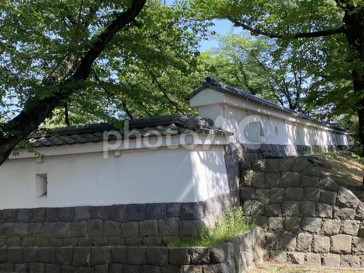 お城　城　石垣　木々 城,石垣,お城の写真素材
