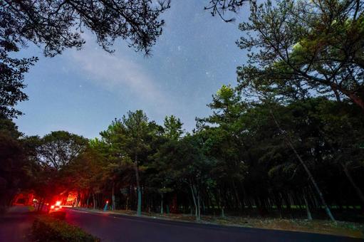 夜の阿波岐原パークウェイ 夜の阿波岐原パークウェイ 道路,交通,夜景の写真素材