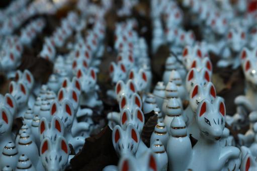 佐助稲荷神社 佐助稲荷神社 佐助稲荷神社,白狐,神社の写真素材