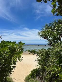 海へ続く道、青空、水平線、美しいビーチ 海へ続く道、青空、水平線、美しいビーチの写真