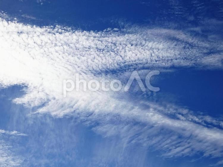 天使の羽のような雲 雲,空,青空の写真素材