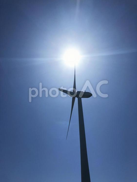 風力発電用風車 風力発電,風車,発電の写真素材