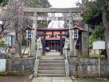 松が丘北野神社の鳥居 松が丘北野神社の鳥居の写真