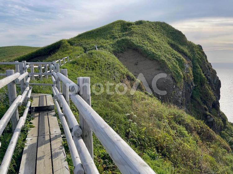 北海道　礼文島　桃岩展望台 北海道,礼文島,桃岩展望台の写真素材