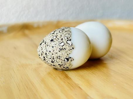 うずらの卵 うずらの卵の写真