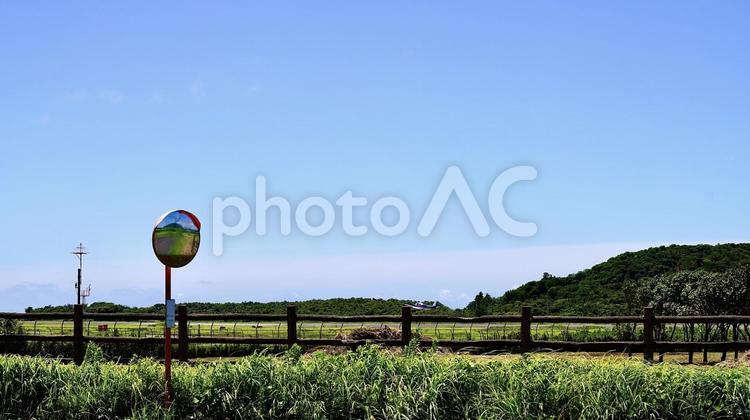 柵の向こう側に見える伊豆大島空港の滑走路 滑走路,道,柵の写真素材