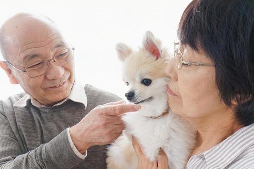 ペットを飼う高齢者夫婦 ペットを飼う高齢者夫婦 ペット,元気,おじいちゃんの写真素材