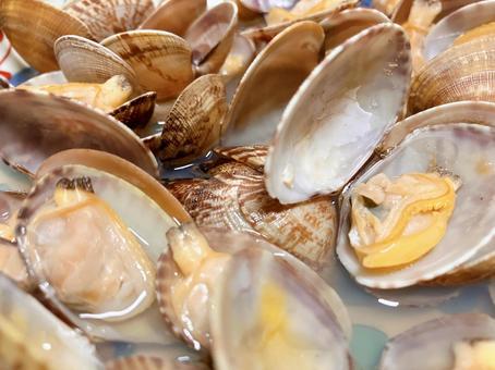 アサリの酒蒸し アサリの酒蒸し,アサリ,貝料理の写真素材