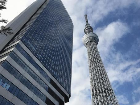 スカイツリーとスカイツリータウン スカイツリーとスカイツリータウンの写真