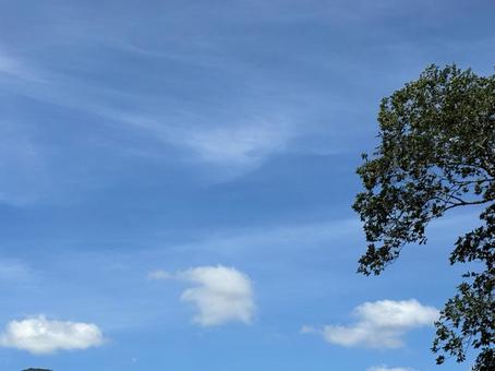 青い空と白い雲 青い空と白い雲の写真