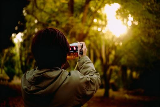 ＜素材＞夕暮れの森で夕日を撮影する女性 女性,紅葉,イチョウの写真素材