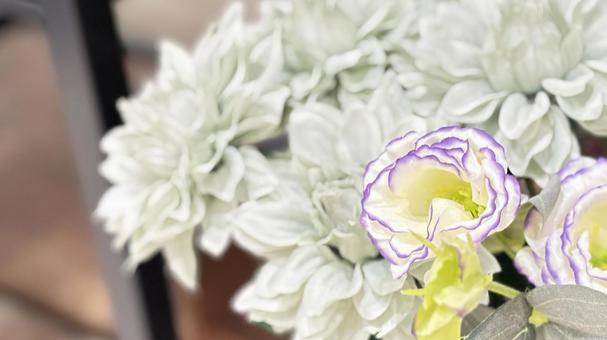 美しい花の背景、コピースペース 花,コピースペース,美しいの写真素材