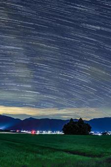 星と猫林 星と猫林の写真