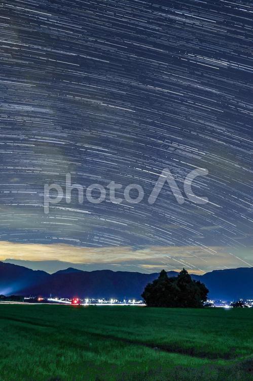 星と猫林 猫林,星景写真,星空の写真素材