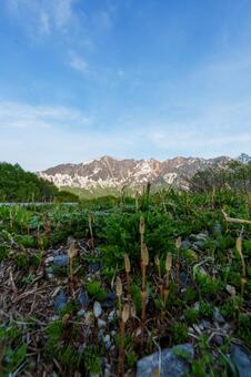 250515秋山郷天池と鳥甲山 秋山郷,長野県,栄村の写真素材