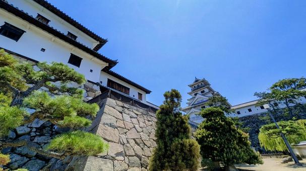 今治城-135 今治城-135 愛媛県,今治市,今治城の写真素材