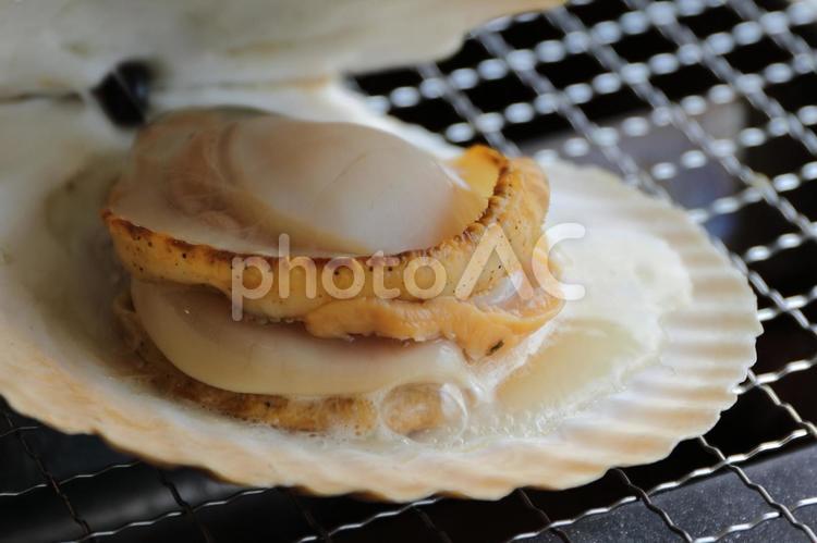 網の上で焼いたホタテ ホタテ貝,ホタテ,貝の写真素材