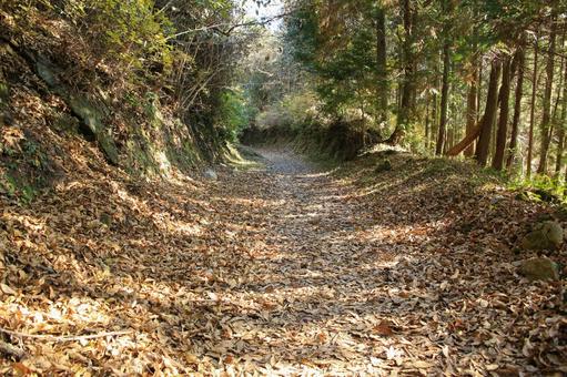 熊本県美里町 八角トンネルへの遊歩道 熊本県美里町 八角トンネルへの遊歩道 八角トンネル,トンネル,道の写真素材