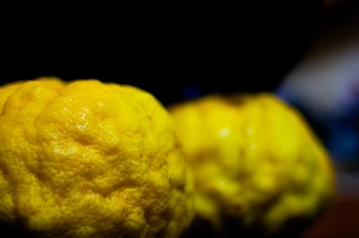 Photo, jumbo yuzu, lion yuzu, lion grapefruit, 