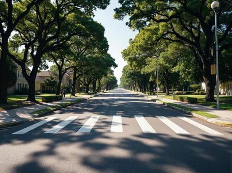 横断歩道 横断歩道の写真