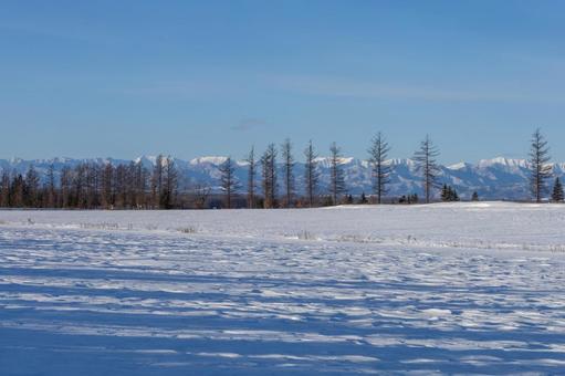 冬の牧場と日高山脈の山並み 冬の牧場と日高山脈の山並みの写真