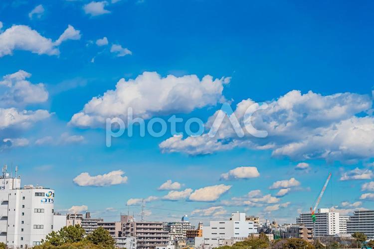 千葉県　舞浜大橋の風景 公園,港,都会の写真素材