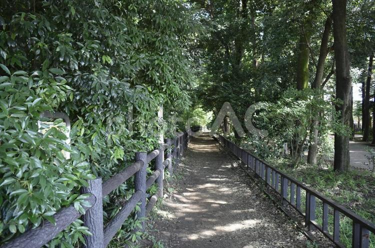 公園の小路 外,景色,散策の写真素材