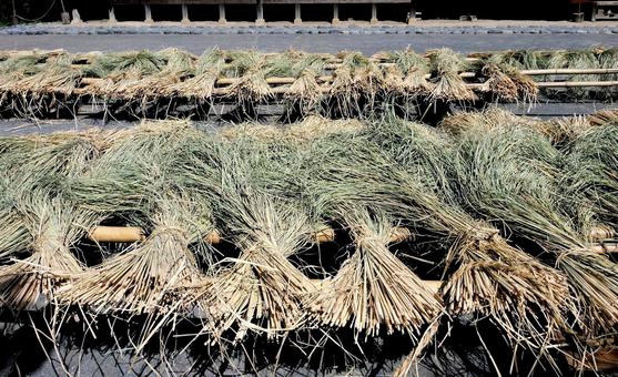 稲わらの写真