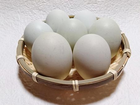 アローカナ たまご,卵,生卵の写真素材