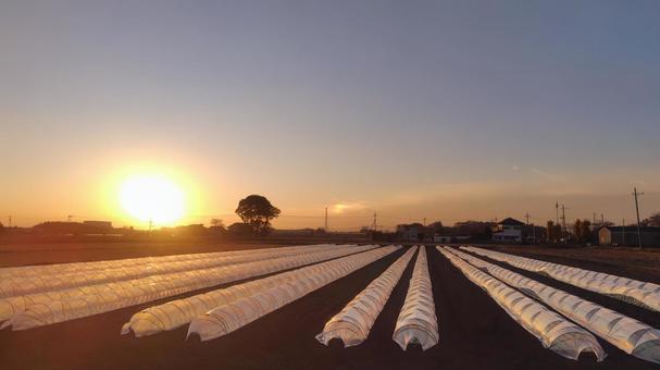 秋の終日 空,旅,秋の写真素材