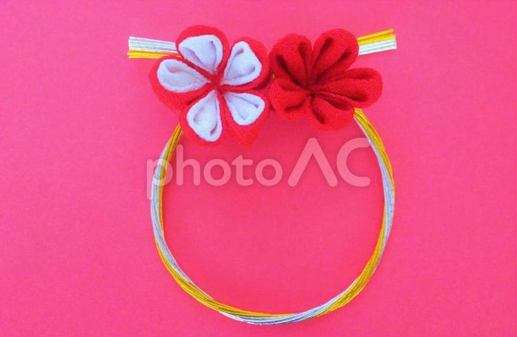 つまみ細工の梅の花の輪飾り 年賀状,梅の花,つまみ細工の写真素材