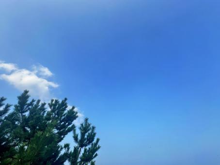 青空 青空 空,鮮やか,背景の写真素材