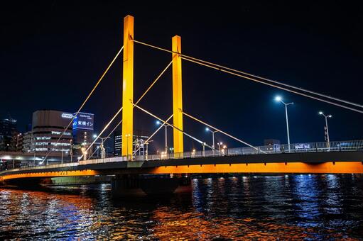 新大橋　夜景　2025年 新大橋,江東区,隅田川の写真素材