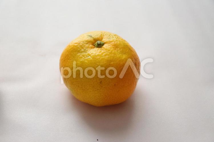 早生みかん　黄色いみかん みかん,ミカン,早生の写真素材