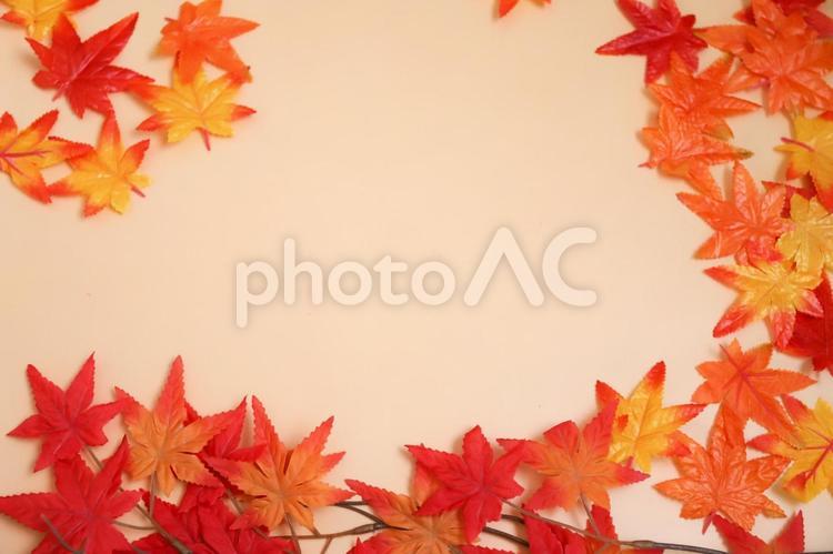 紅葉の葉が舞うフレーム 紅葉,もみじ,葉っぱの写真素材