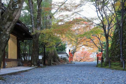 三千院前の街並み 三千院前の街並み 紅葉,秋,風景の写真素材
