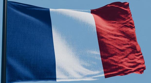 フランス(原色)国旗・風になびく フランス(原色)国旗・風になびくの写真