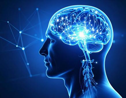 人間の脳のネットワークイメージの写真