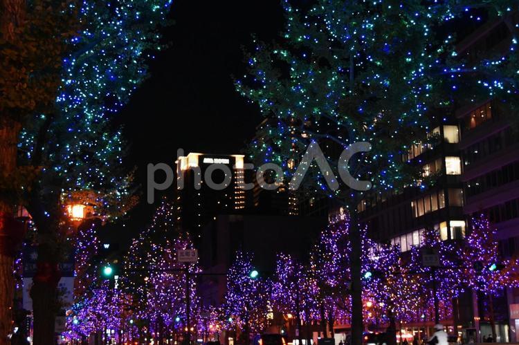 2022御堂筋イルミネーション 御堂筋,イルミネーション,夜景の写真素材