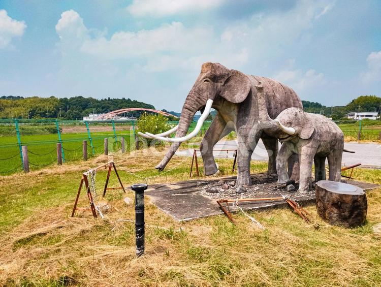双子公園のナウマンゾウ 公園,ナウマン像,双子公園の写真素材