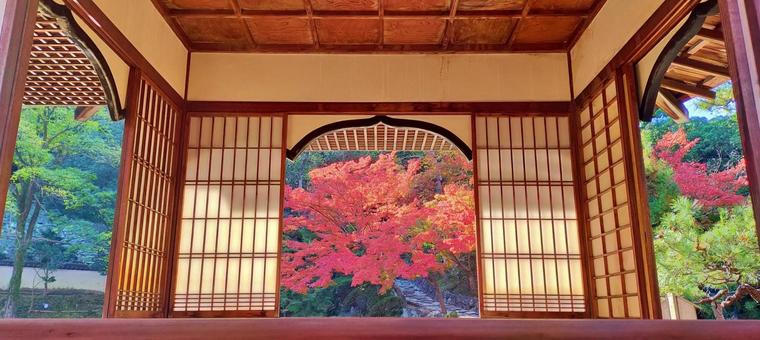 和歌山城と紅葉の日本庭園 和歌山城と紅葉の日本庭園 紅葉,和歌山城,庭園の写真素材