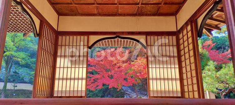 和歌山城と紅葉の日本庭園 紅葉,和歌山城,庭園の写真素材