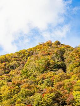 紅葉の山⑵ 山,紅葉,黄葉の写真素材