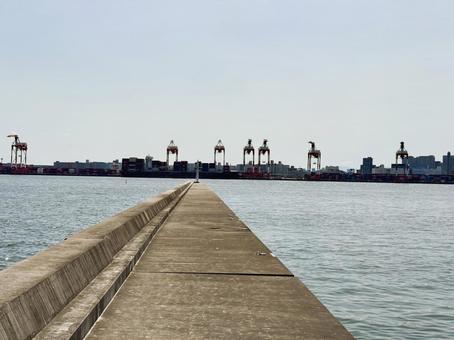 青海ふ頭公園 東京お台場 2025年春 青海ふ頭公園 東京お台場 2025年春の写真