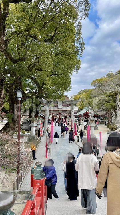 【福岡】太宰府天満宮 太宰府天満宮,福岡,福岡旅行の写真素材
