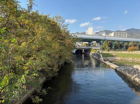 川沿いの秋の風景 川,風景,自然の写真素材