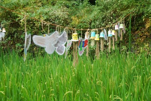 朱雀の庭の稲穂 朱雀の庭の稲穂の写真
