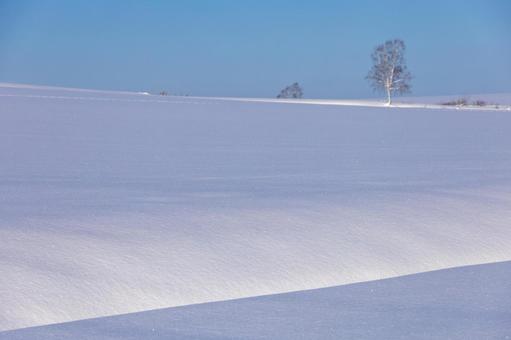 朝の光が作る丘の陰影とグラデーション 丘,光,雪の写真素材