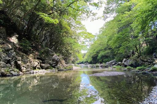 飯能河原 飯能河原 緑,山,河川の写真素材